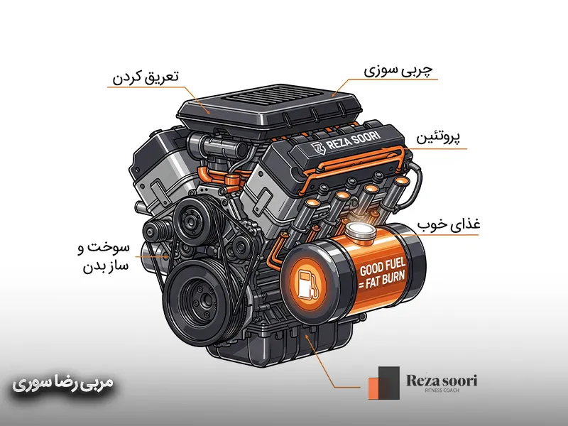 برنامه تغذیه اصولی بدنسازی