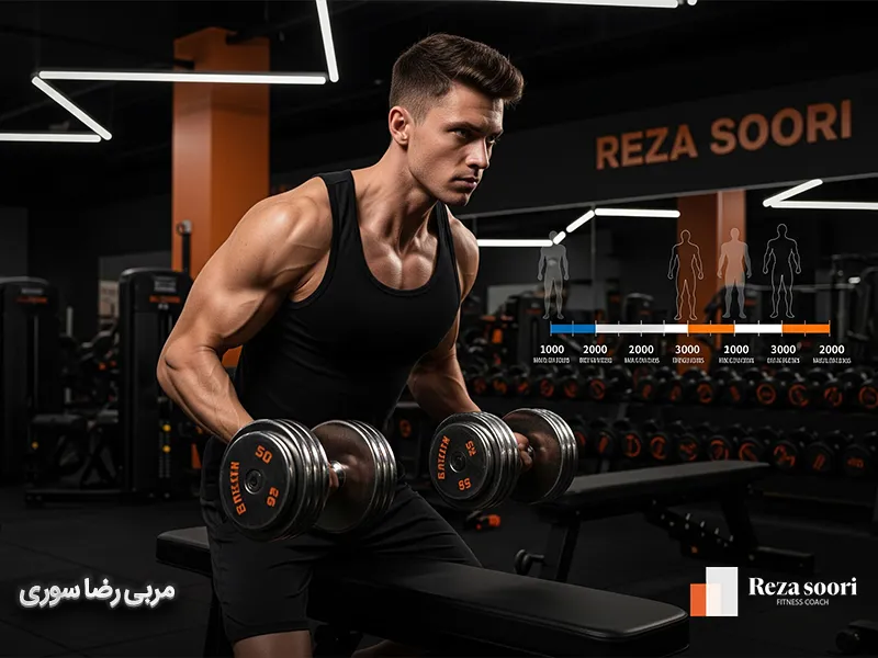 بهترین برنامه بدنسازی برای افراد لاغر و ساخت عضله