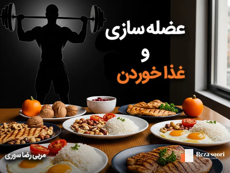 برنامه غذایی بدنسازی برای افزایش حجم و عضله سازی